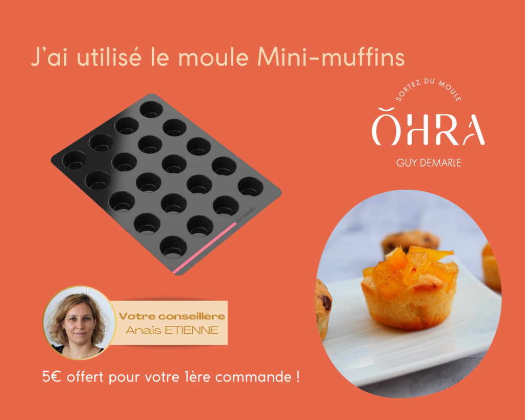 moule mini-muffins  Guy Demarle- dans la cuisine d'anais