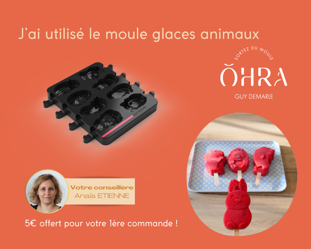 moule glace animaux Guy Demarle - Dans la cuisine d'anais
