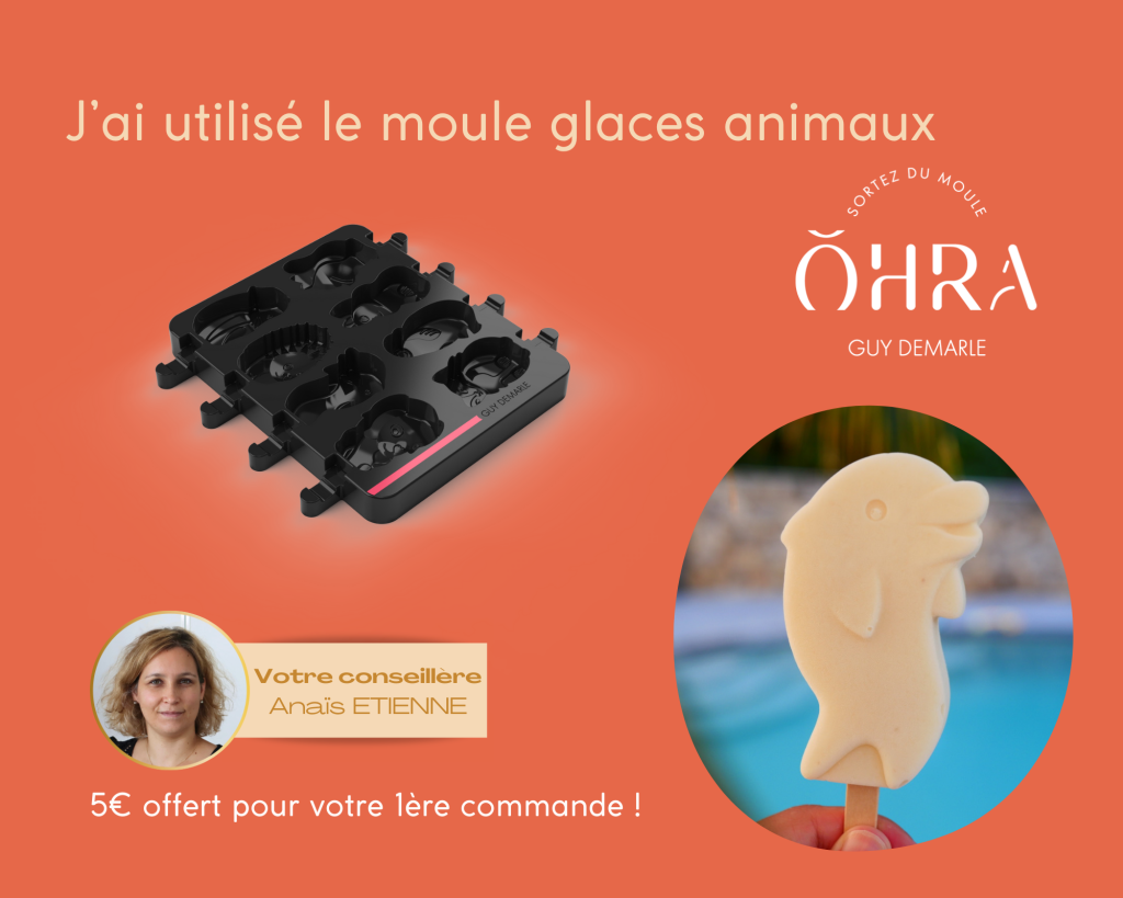 moule glace animaux Guy Demarle - dans la cuisine d'anais