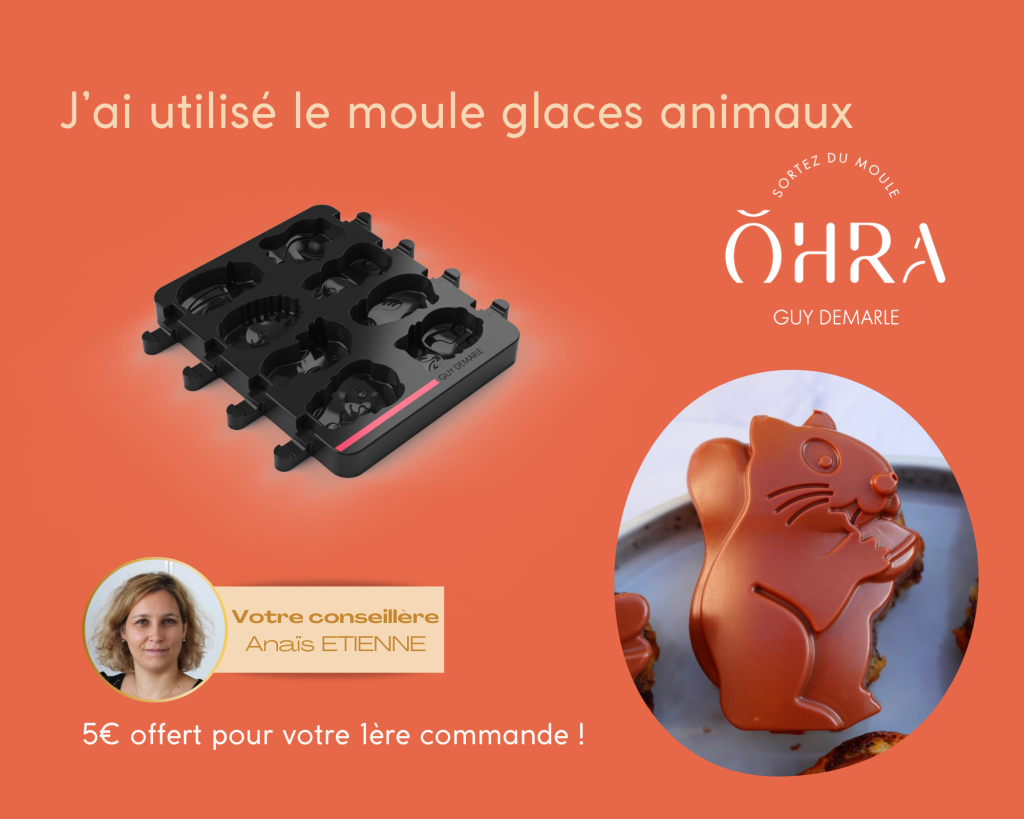 moule glace animaux Guy Demarle - dans la cuisine d'anais