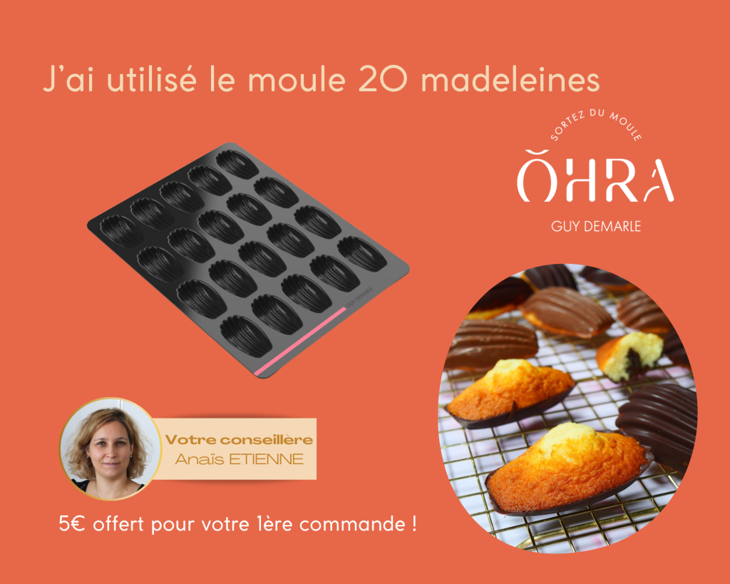 moule 20 madeleines Guy Demarle